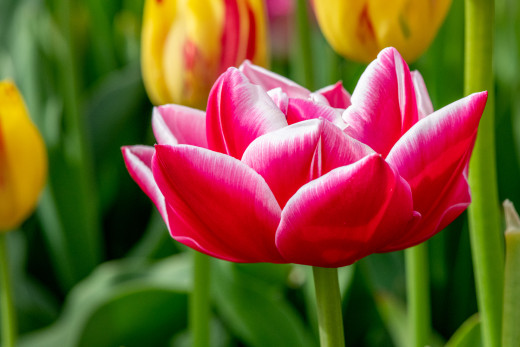 �1761356 �������(a): ����������:1920x1279